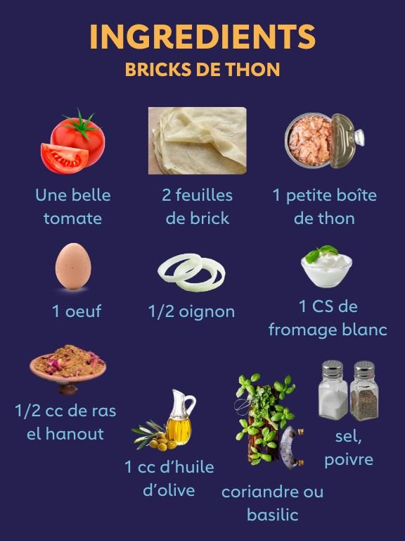 Bricks de thon 2